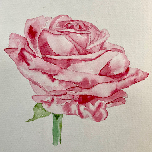 Art - Print - Watercolour Rose