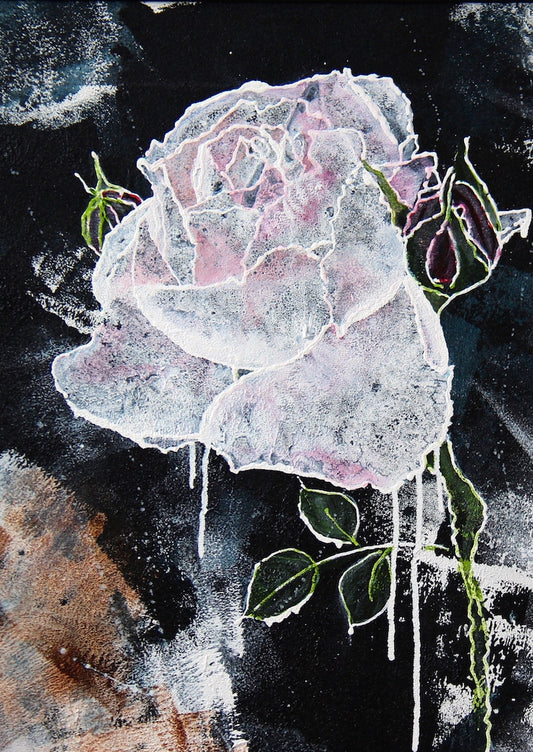 Art - Print - White Rose