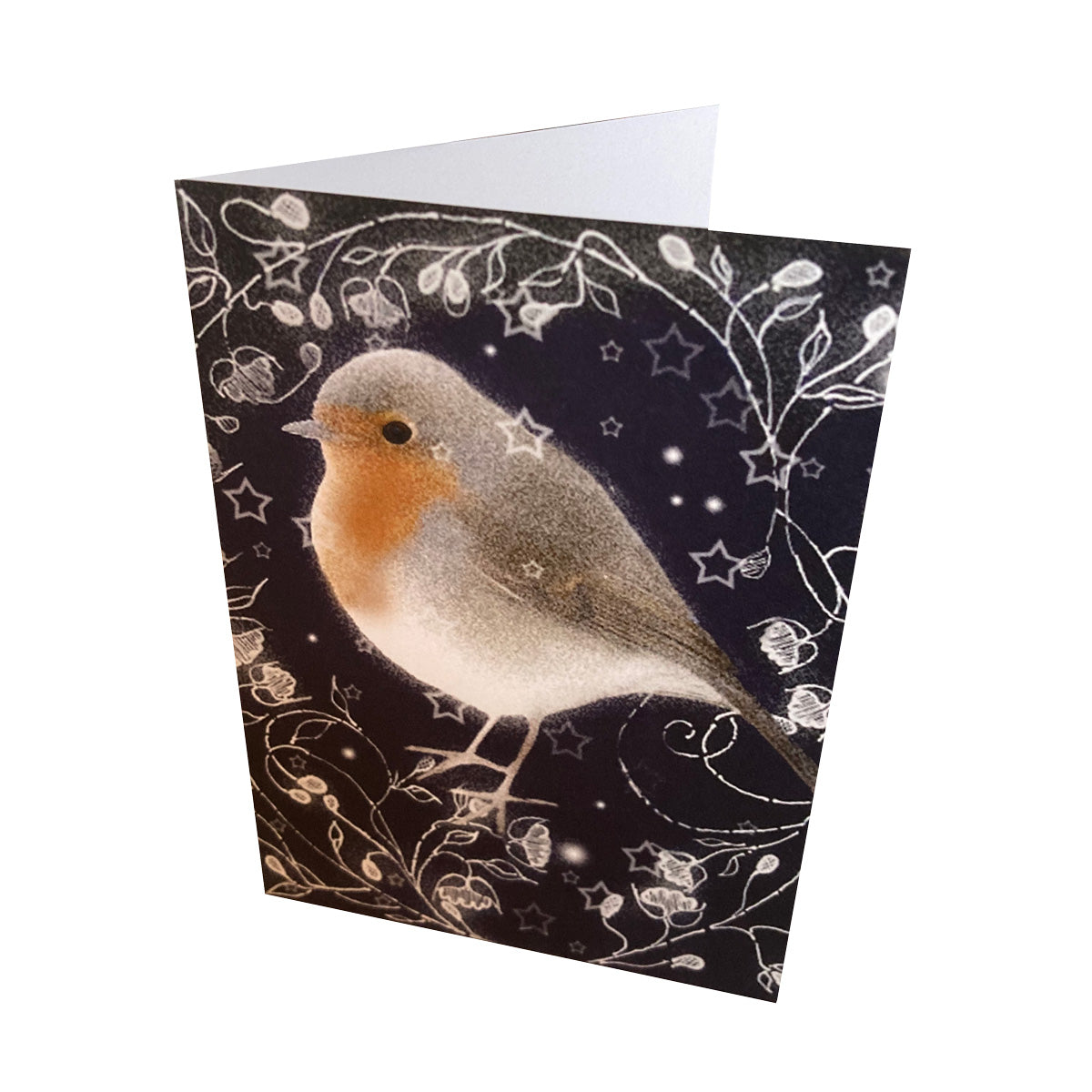 10 card pack Robin Christmas Cards - single design