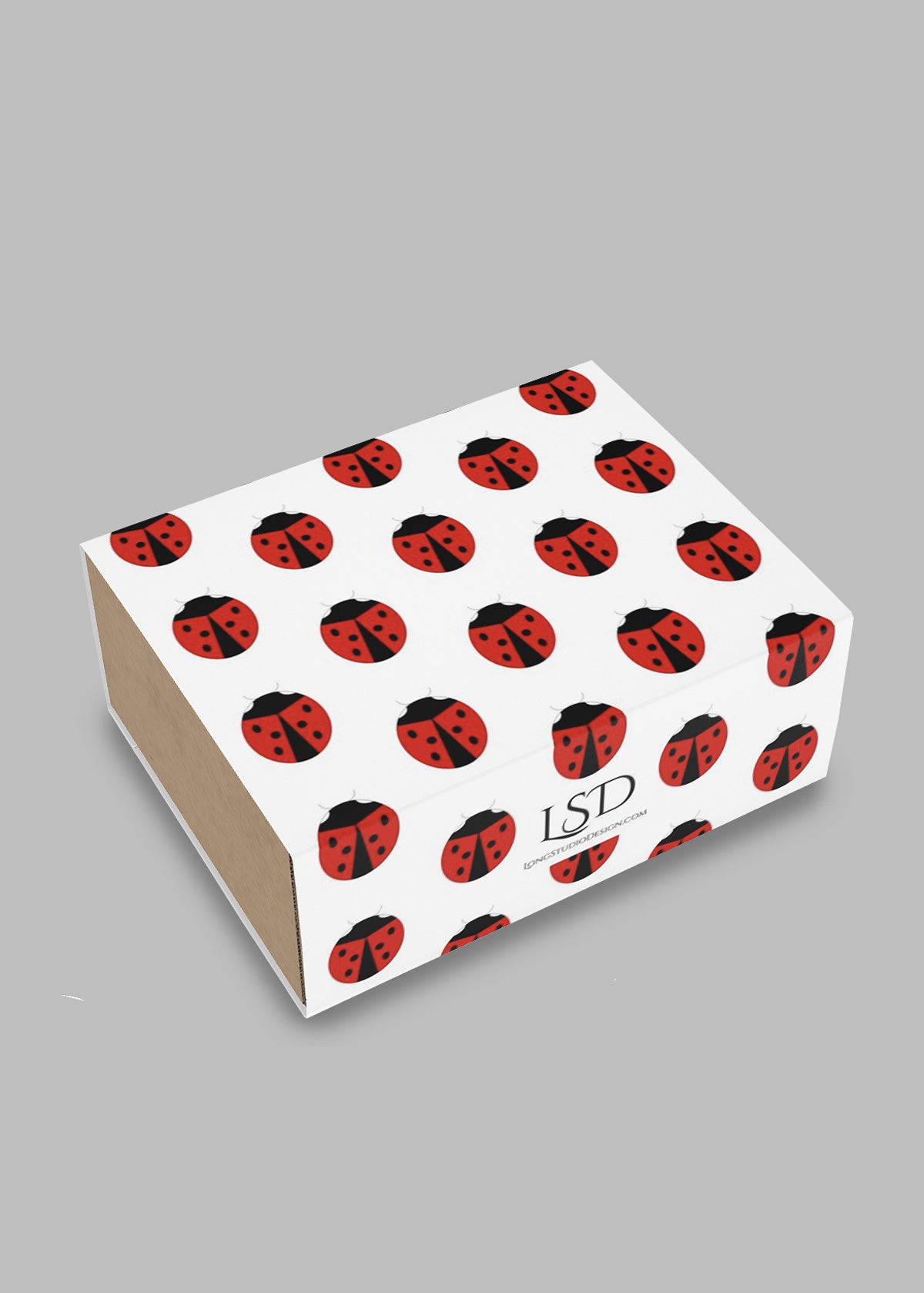 Gift Box with ladybug pattern and 'LSD' branding