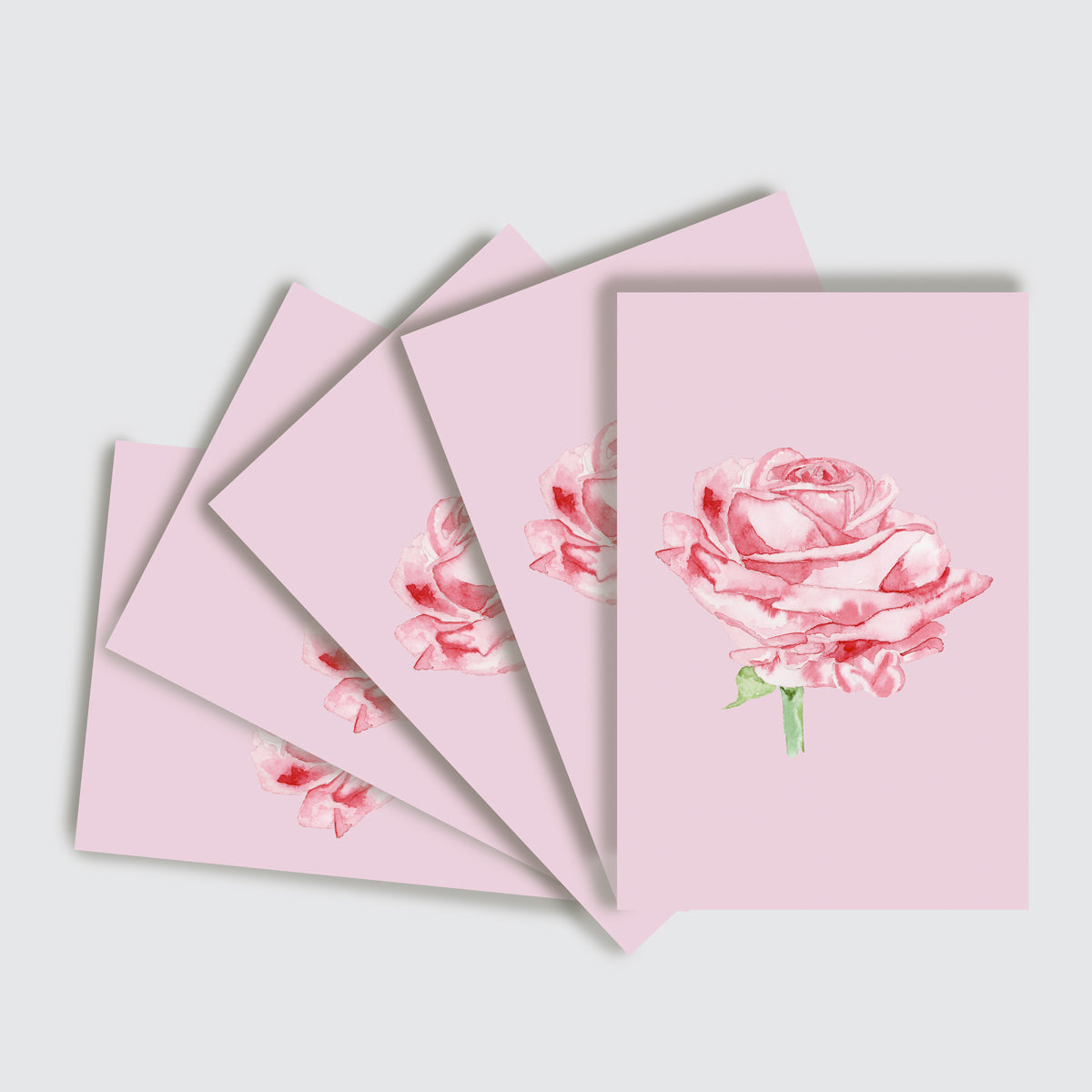 10 Card Pack Watercolour Rose On Pink