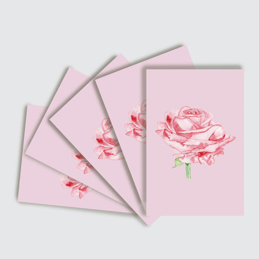 10 Card Pack Watercolour Rose On Pink