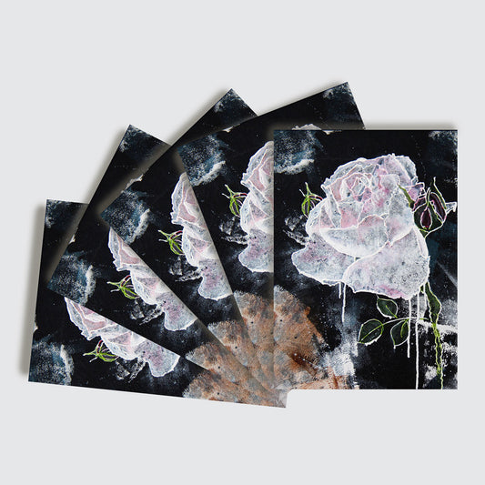 10 Card Pack White Rose