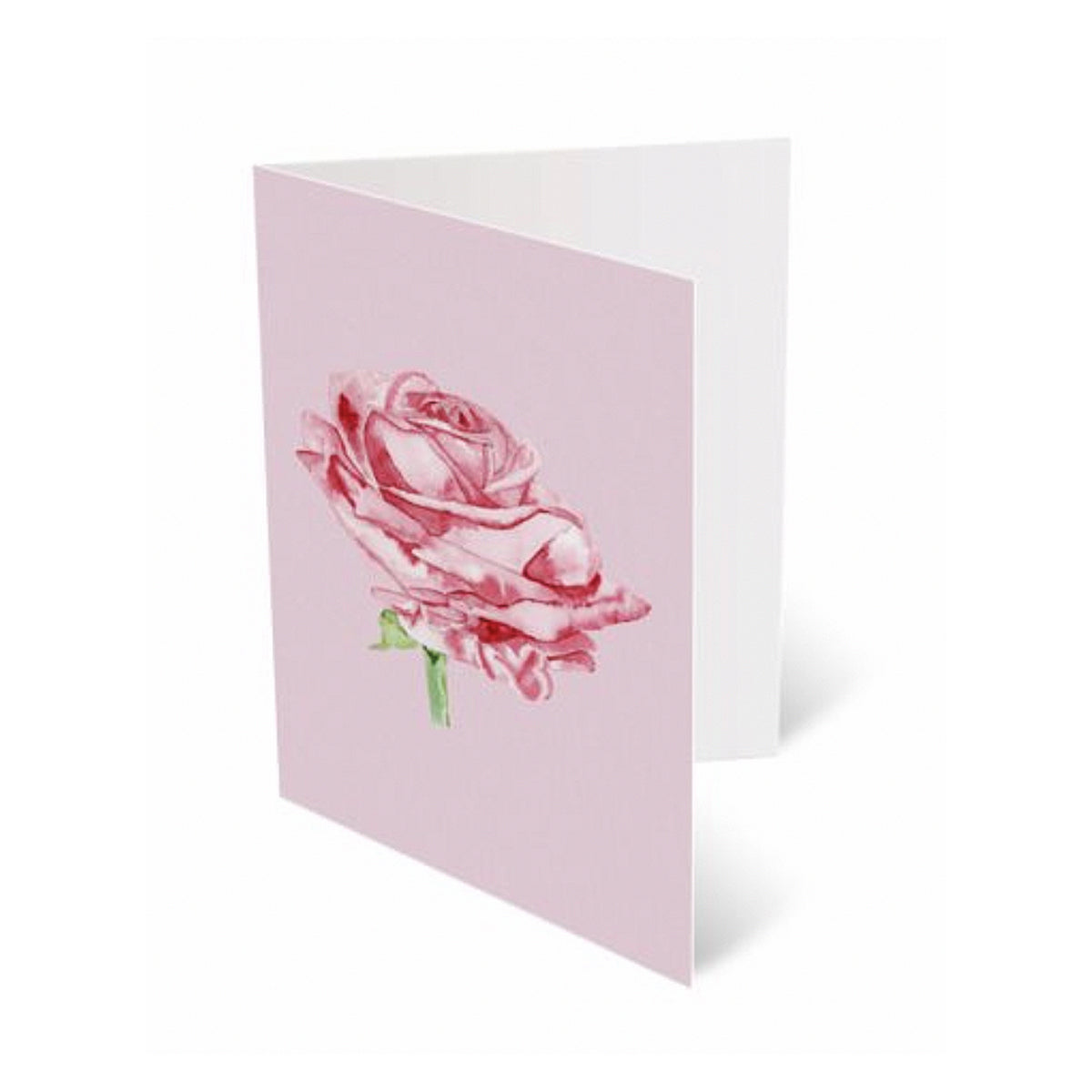10 Card Pack Watercolour Rose On Pink