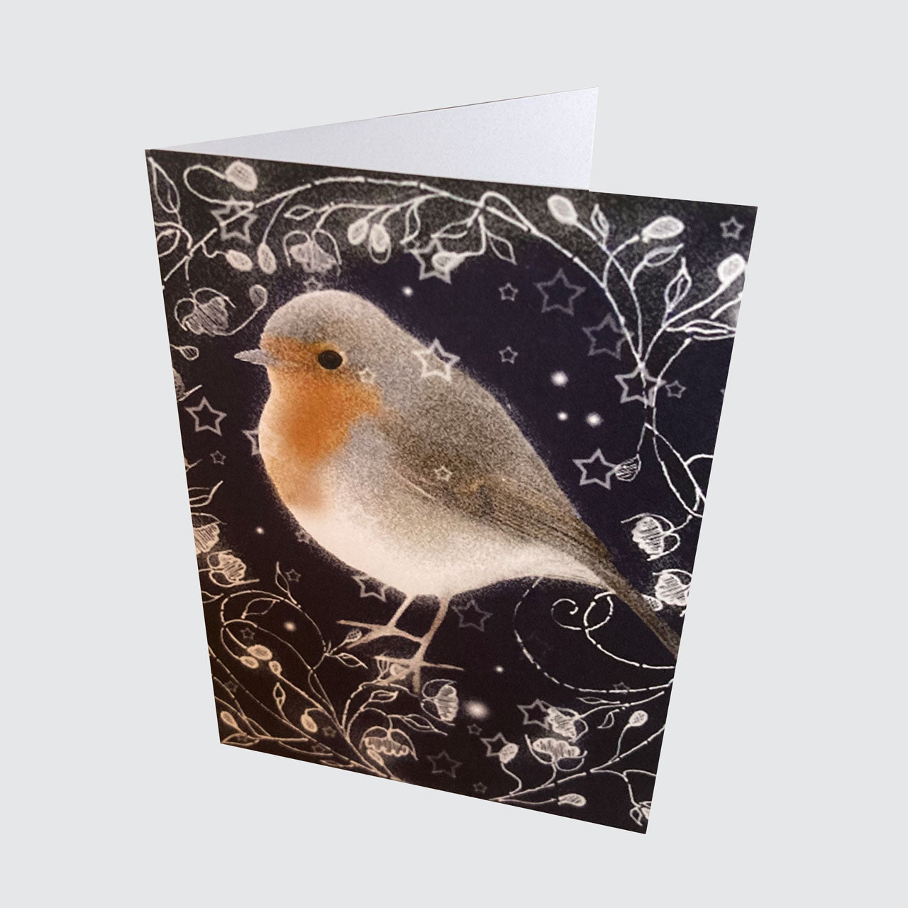 10 card pack Robin Christmas Cards - single design