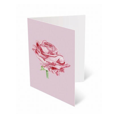 10 Card Pack Watercolour Rose On Pink
