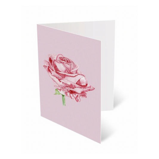 10 Card Pack Watercolour Rose On Pink