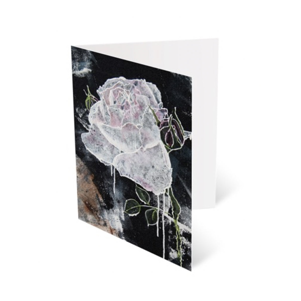 Pack White Rose Cards – Long Studio Design