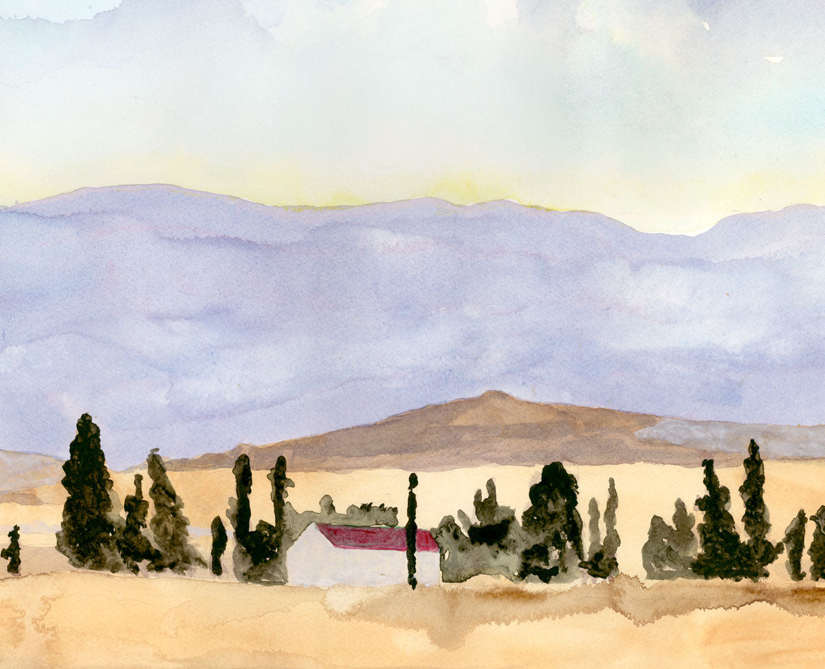 Wallpaper Mural of the Western Cape - £50 per sq metre.