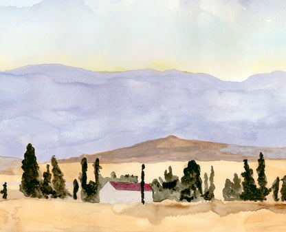 Wallpaper Mural of the Western Cape - £50 per sq metre.